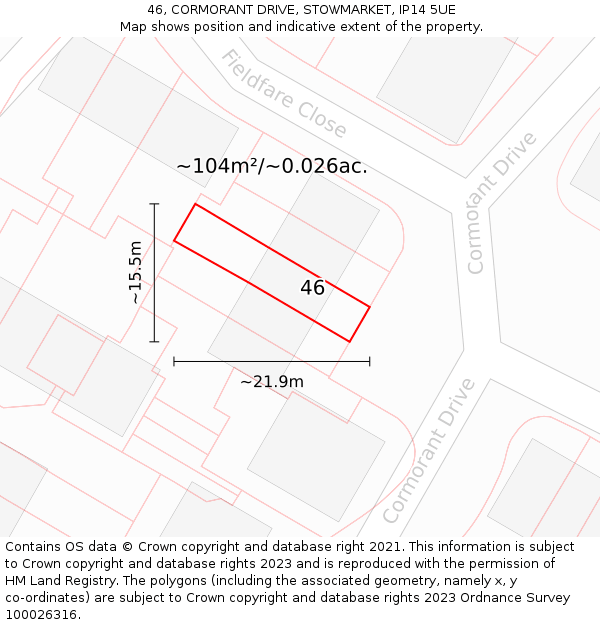 46, CORMORANT DRIVE, STOWMARKET, IP14 5UE: Plot and title map