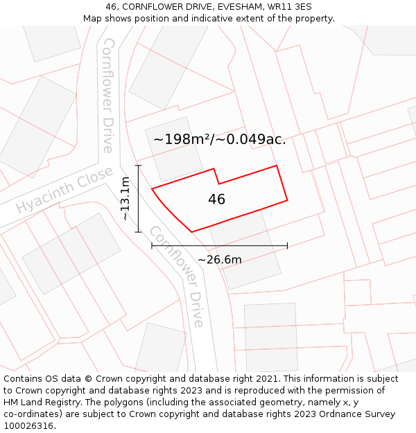 46, CORNFLOWER DRIVE, EVESHAM, WR11 3ES: Plot and title map