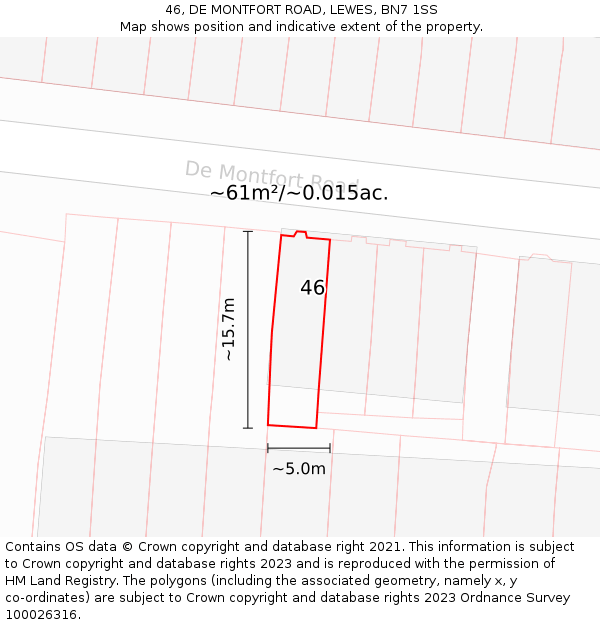 46, DE MONTFORT ROAD, LEWES, BN7 1SS: Plot and title map