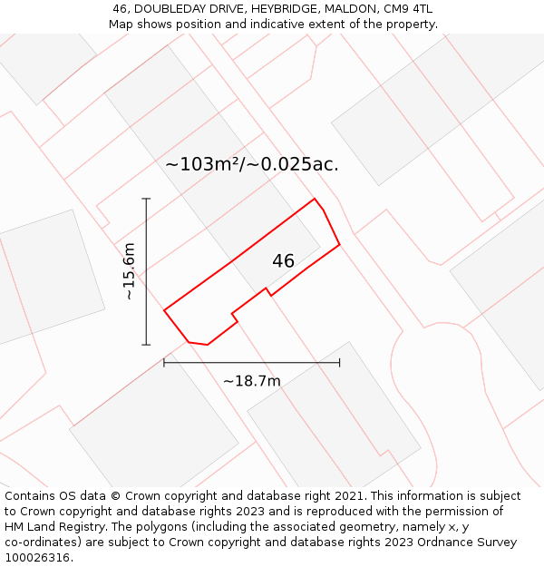 46, DOUBLEDAY DRIVE, HEYBRIDGE, MALDON, CM9 4TL: Plot and title map