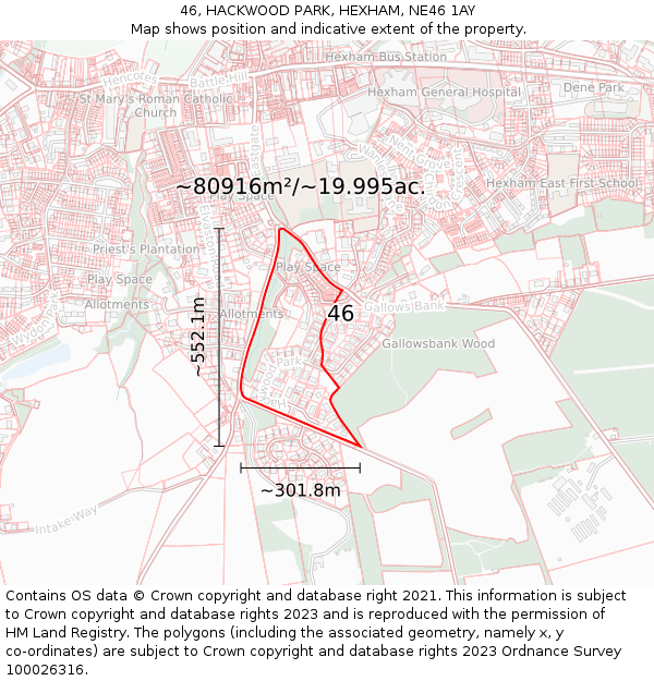 46, HACKWOOD PARK, HEXHAM, NE46 1AY: Plot and title map