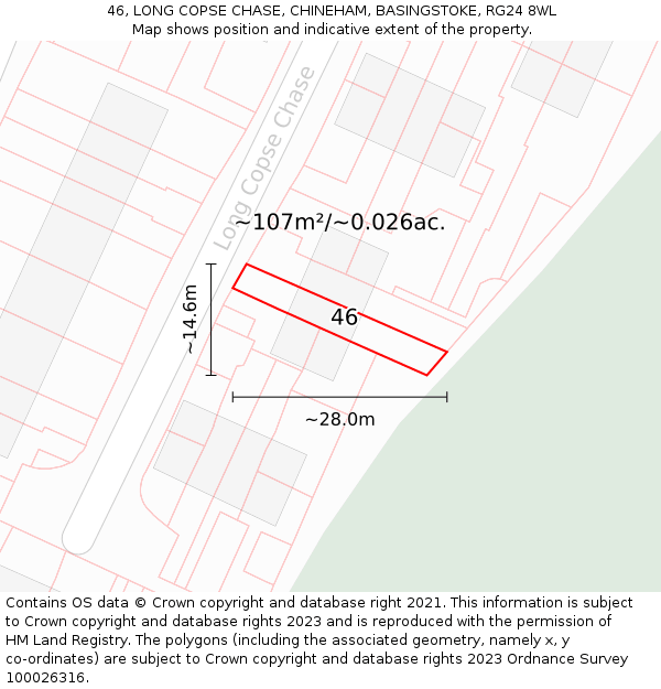 46, LONG COPSE CHASE, CHINEHAM, BASINGSTOKE, RG24 8WL: Plot and title map
