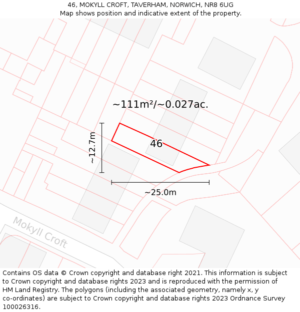 46, MOKYLL CROFT, TAVERHAM, NORWICH, NR8 6UG: Plot and title map