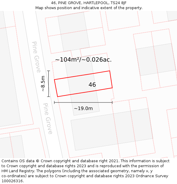 46, PINE GROVE, HARTLEPOOL, TS24 8JF: Plot and title map