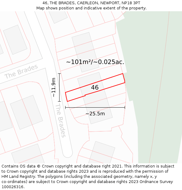 46, THE BRADES, CAERLEON, NEWPORT, NP18 3PT: Plot and title map