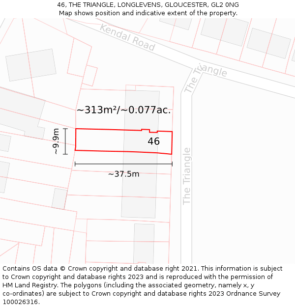 46, THE TRIANGLE, LONGLEVENS, GLOUCESTER, GL2 0NG: Plot and title map