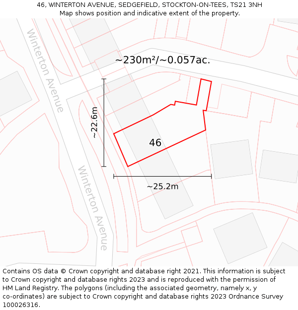 46, WINTERTON AVENUE, SEDGEFIELD, STOCKTON-ON-TEES, TS21 3NH: Plot and title map