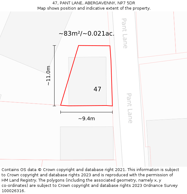 47, PANT LANE, ABERGAVENNY, NP7 5DR: Plot and title map