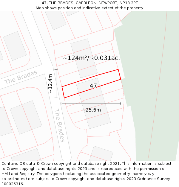47, THE BRADES, CAERLEON, NEWPORT, NP18 3PT: Plot and title map