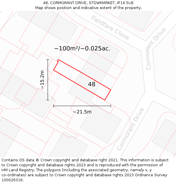 48, CORMORANT DRIVE, STOWMARKET, IP14 5UE: Plot and title map