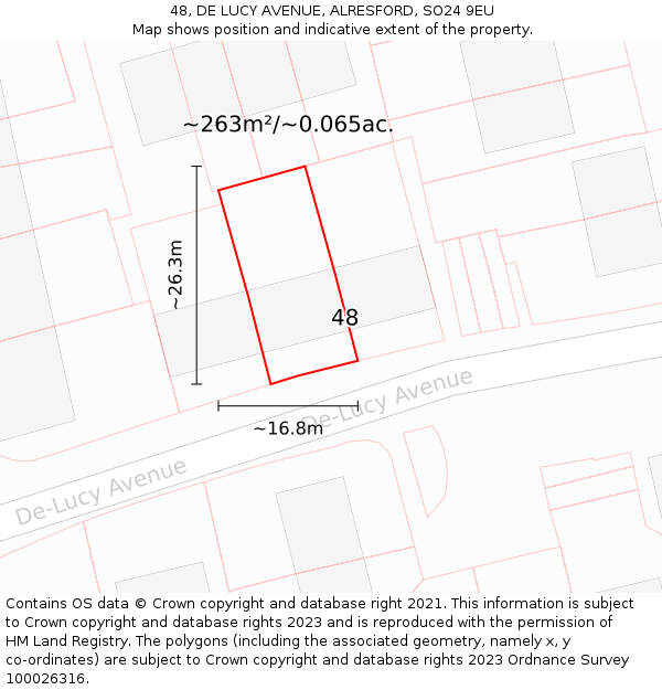 48, DE LUCY AVENUE, ALRESFORD, SO24 9EU: Plot and title map