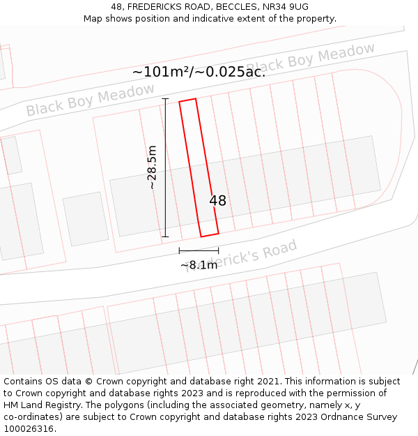 48, FREDERICKS ROAD, BECCLES, NR34 9UG: Plot and title map
