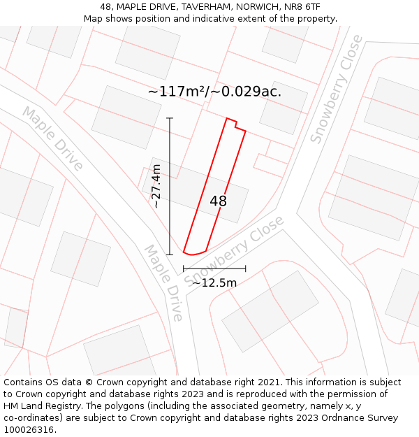 48, MAPLE DRIVE, TAVERHAM, NORWICH, NR8 6TF: Plot and title map