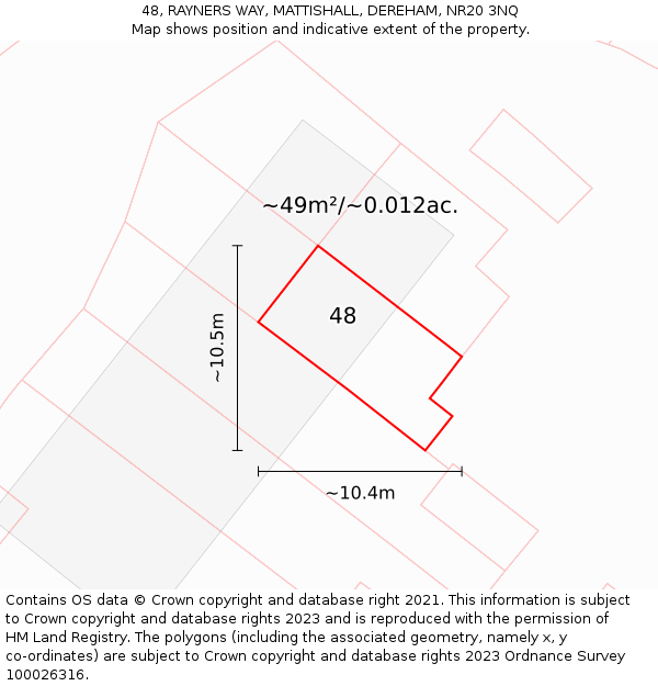 48, RAYNERS WAY, MATTISHALL, DEREHAM, NR20 3NQ: Plot and title map
