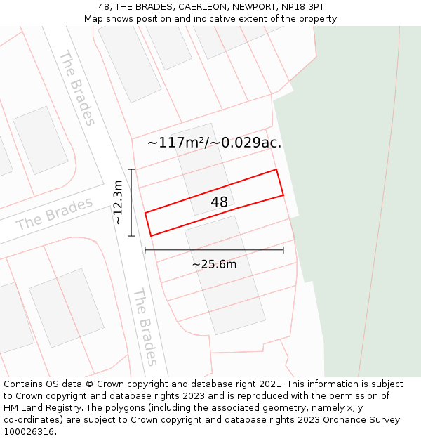 48, THE BRADES, CAERLEON, NEWPORT, NP18 3PT: Plot and title map