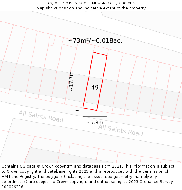49, ALL SAINTS ROAD, NEWMARKET, CB8 8ES: Plot and title map