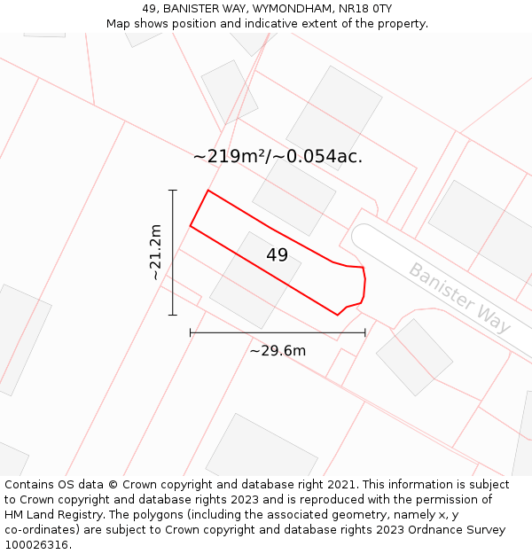 49, BANISTER WAY, WYMONDHAM, NR18 0TY: Plot and title map