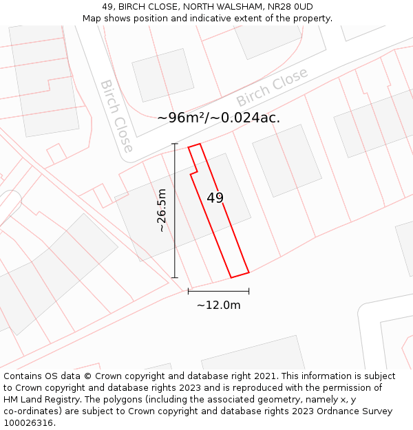 49, BIRCH CLOSE, NORTH WALSHAM, NR28 0UD: Plot and title map