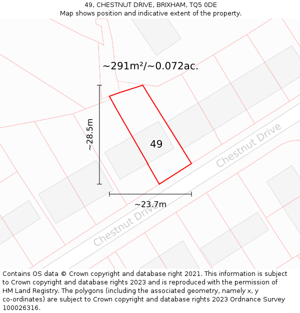 49, CHESTNUT DRIVE, BRIXHAM, TQ5 0DE: Plot and title map