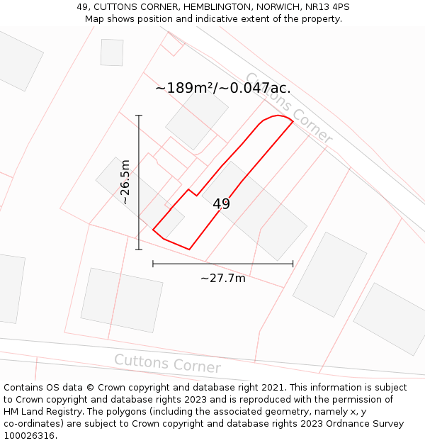 49, CUTTONS CORNER, HEMBLINGTON, NORWICH, NR13 4PS: Plot and title map