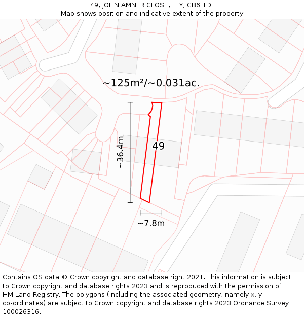 49, JOHN AMNER CLOSE, ELY, CB6 1DT: Plot and title map
