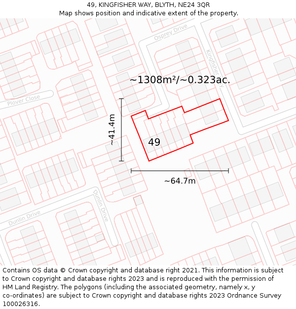 49, KINGFISHER WAY, BLYTH, NE24 3QR: Plot and title map