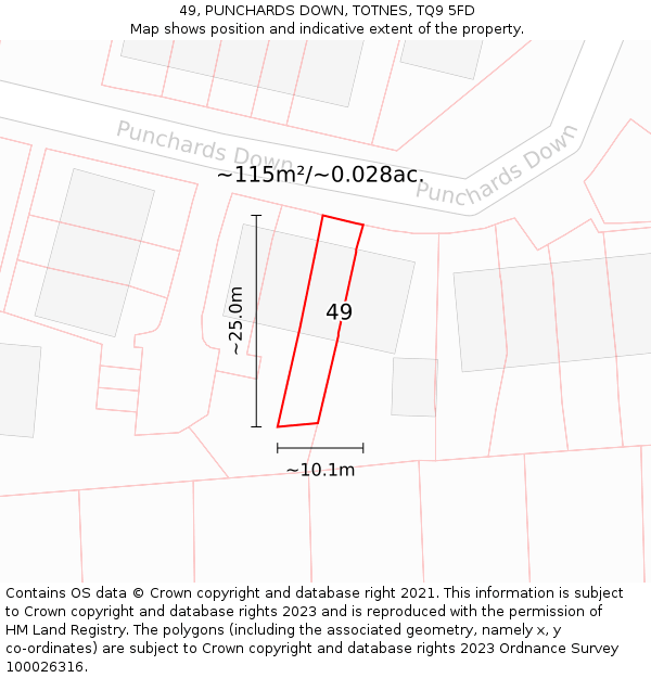 49, PUNCHARDS DOWN, TOTNES, TQ9 5FD: Plot and title map