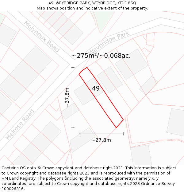 49, WEYBRIDGE PARK, WEYBRIDGE, KT13 8SQ: Plot and title map