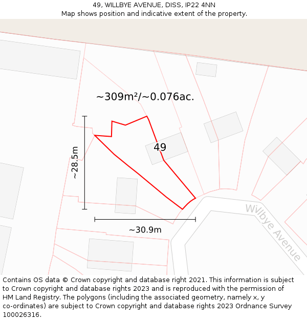 49, WILLBYE AVENUE, DISS, IP22 4NN: Plot and title map