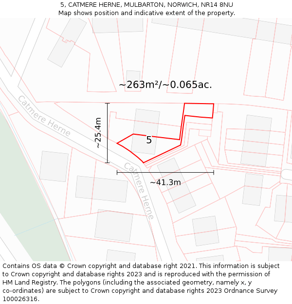 5, CATMERE HERNE, MULBARTON, NORWICH, NR14 8NU: Plot and title map