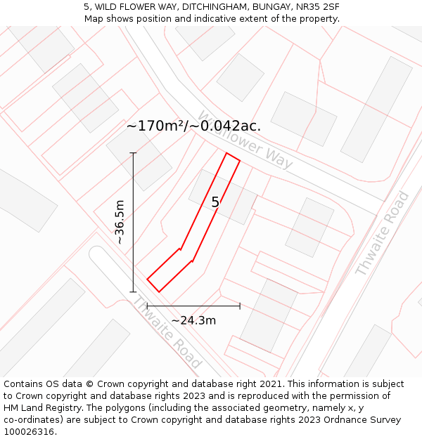 5, WILD FLOWER WAY, DITCHINGHAM, BUNGAY, NR35 2SF: Plot and title map