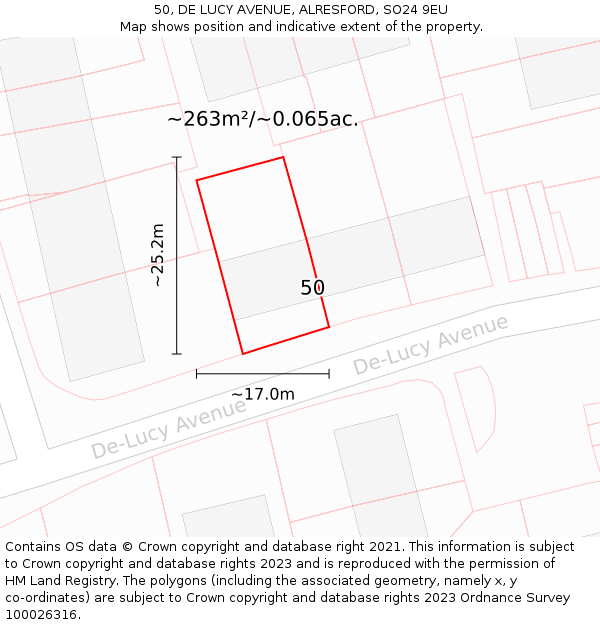 50, DE LUCY AVENUE, ALRESFORD, SO24 9EU: Plot and title map
