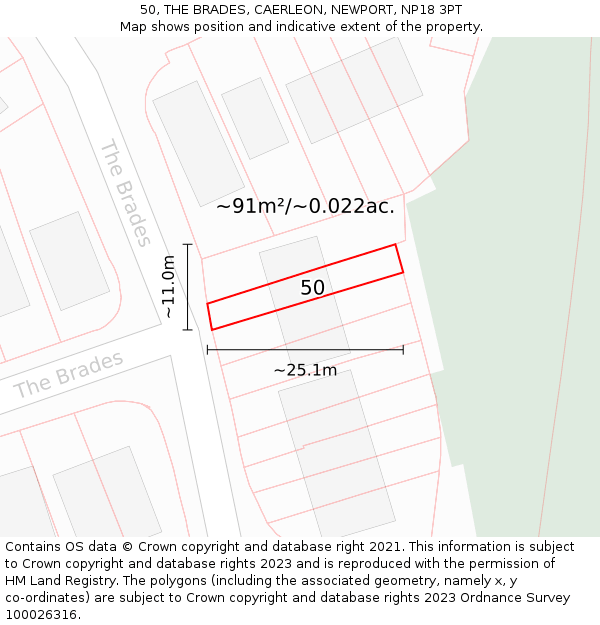 50, THE BRADES, CAERLEON, NEWPORT, NP18 3PT: Plot and title map