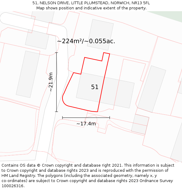 51, NELSON DRIVE, LITTLE PLUMSTEAD, NORWICH, NR13 5FL: Plot and title map