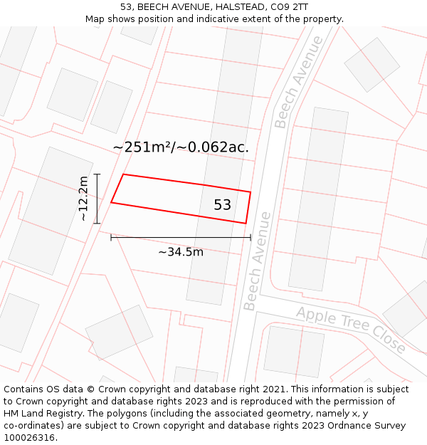 53, BEECH AVENUE, HALSTEAD, CO9 2TT: Plot and title map