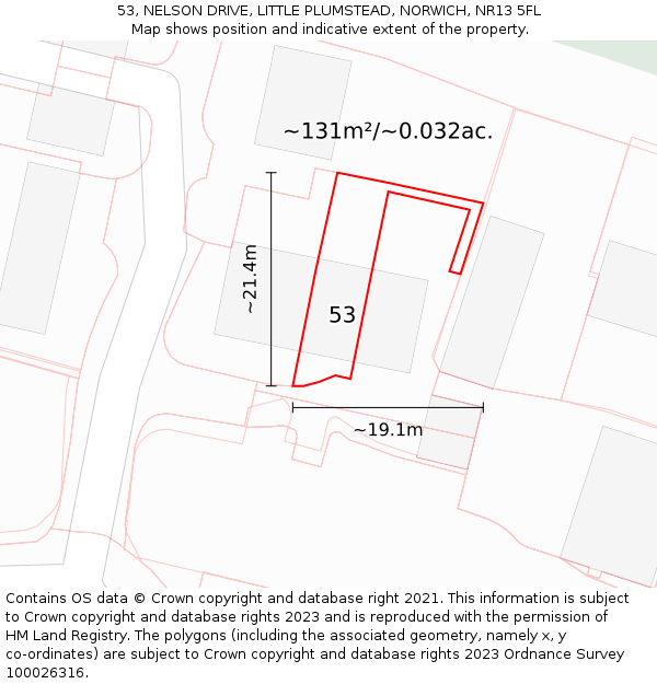 53, NELSON DRIVE, LITTLE PLUMSTEAD, NORWICH, NR13 5FL: Plot and title map