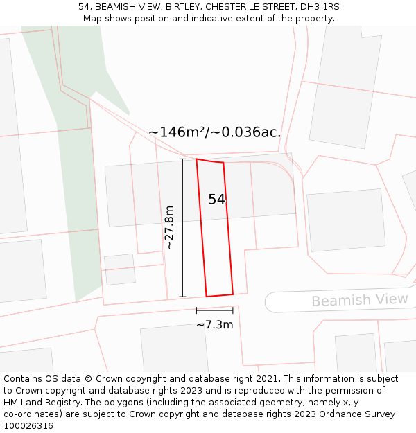 54, BEAMISH VIEW, BIRTLEY, CHESTER LE STREET, DH3 1RS: Plot and title map