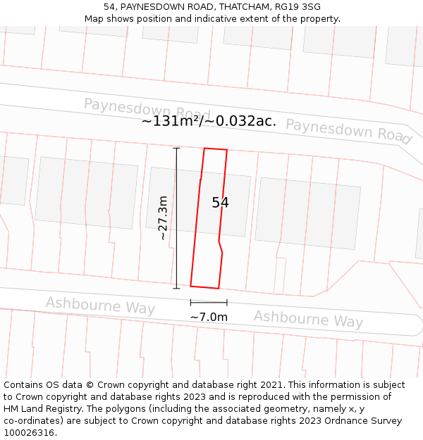 54, PAYNESDOWN ROAD, THATCHAM, RG19 3SG: Plot and title map
