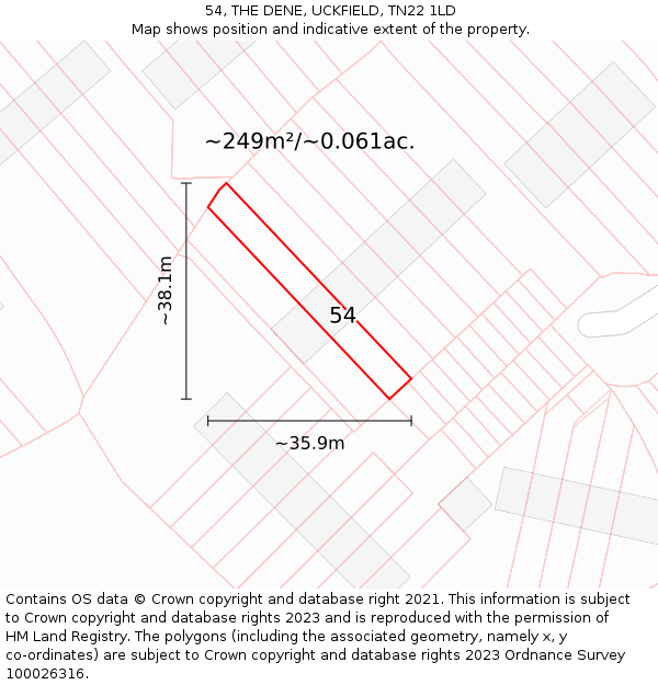 54, THE DENE, UCKFIELD, TN22 1LD: Plot and title map