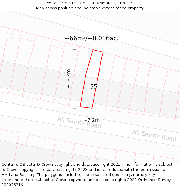 55, ALL SAINTS ROAD, NEWMARKET, CB8 8ES: Plot and title map
