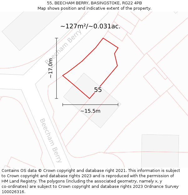 55, BEECHAM BERRY, BASINGSTOKE, RG22 4PB: Plot and title map
