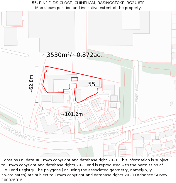 55, BINFIELDS CLOSE, CHINEHAM, BASINGSTOKE, RG24 8TP: Plot and title map