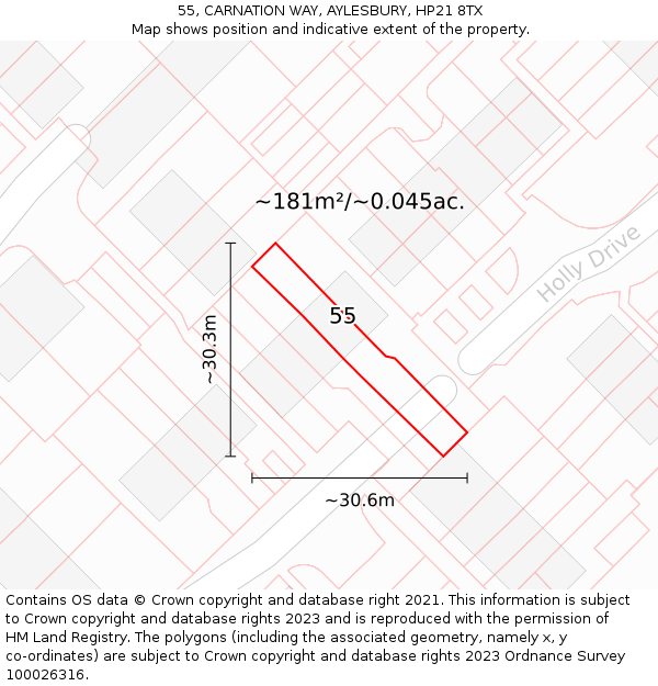 55, CARNATION WAY, AYLESBURY, HP21 8TX: Plot and title map
