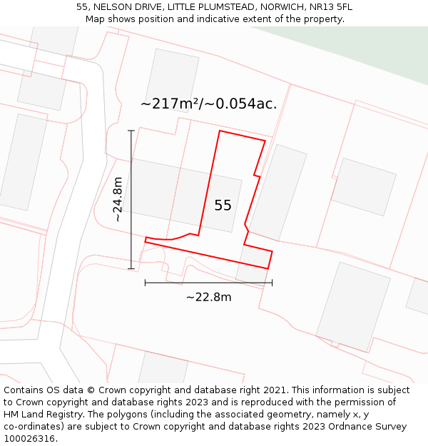 55, NELSON DRIVE, LITTLE PLUMSTEAD, NORWICH, NR13 5FL: Plot and title map