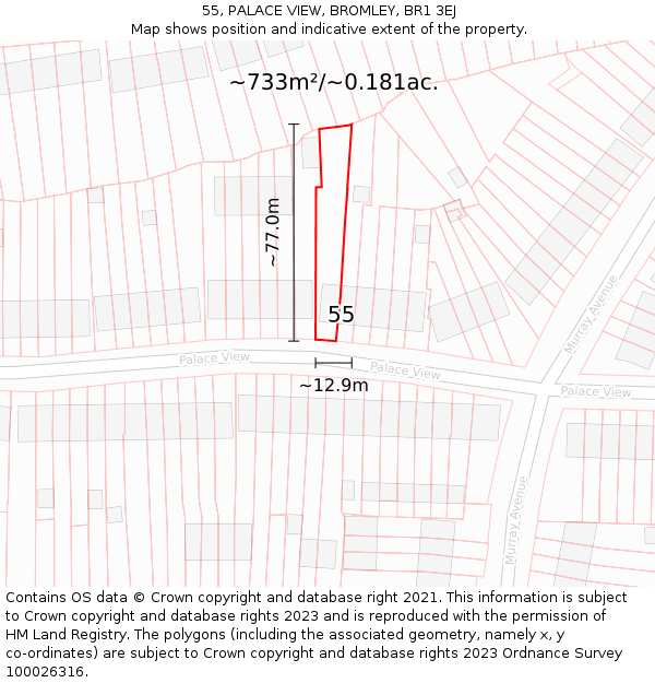 55, PALACE VIEW, BROMLEY, BR1 3EJ: Plot and title map