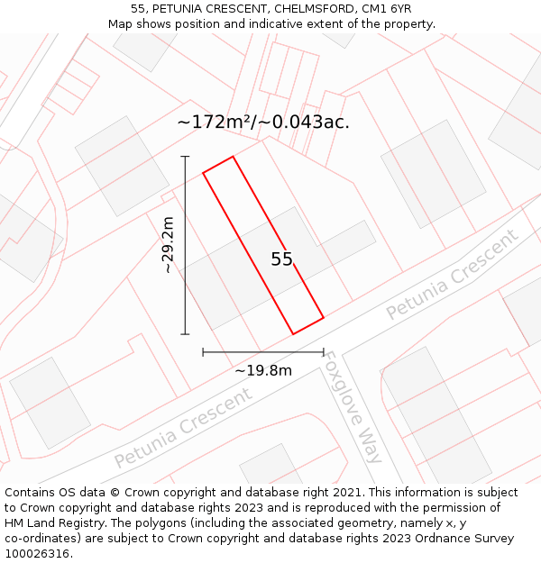 55, PETUNIA CRESCENT, CHELMSFORD, CM1 6YR: Plot and title map