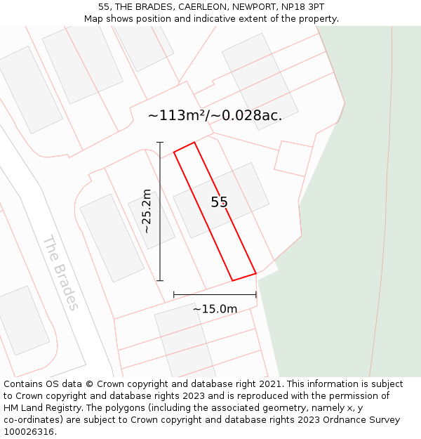 55, THE BRADES, CAERLEON, NEWPORT, NP18 3PT: Plot and title map
