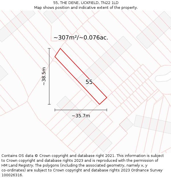 55, THE DENE, UCKFIELD, TN22 1LD: Plot and title map