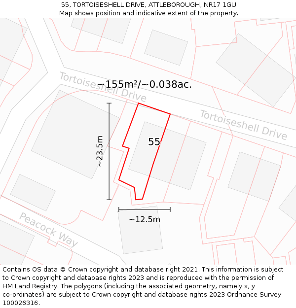 55, TORTOISESHELL DRIVE, ATTLEBOROUGH, NR17 1GU: Plot and title map