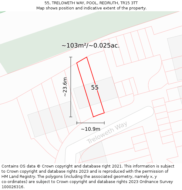 55, TRELOWETH WAY, POOL, REDRUTH, TR15 3TT: Plot and title map